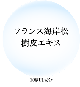 フランス海岸松樹皮エキス